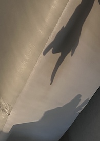 鸳鸯楼电影在线观看