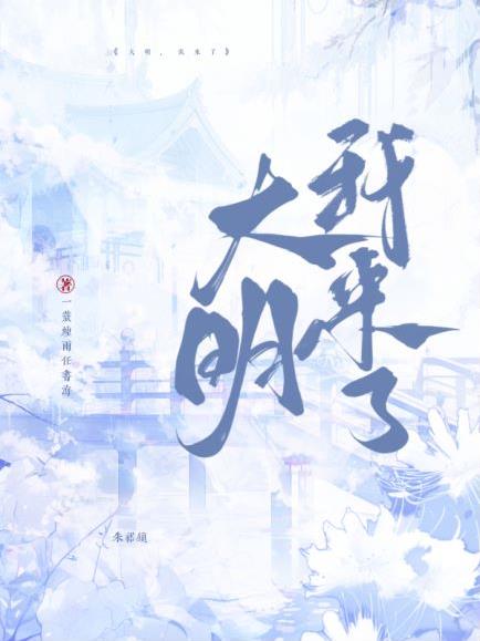 大明我被迫登基小说